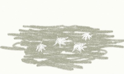 7-august12